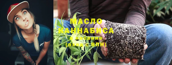 дмт Переславль-Залесский